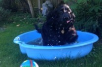 Testimonial from Sue