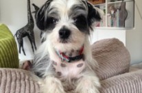 Testimonial from Katy