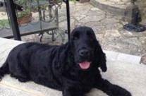 Testimonial from Margaret