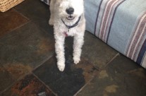 Testimonial from Esther