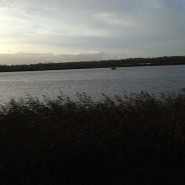 Dog Walk of the week is Longham Reservoir!