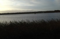Dog Walk of the week is Longham Reservoir!