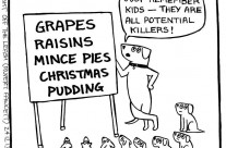 Wishing all my dogs, cats and furry friends at Four Paws, Mums and Dads too, a Wonderful Christmas!