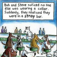 Dog cartoon to make you Smile!