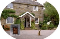 DoggiePubs Local/Travel Website