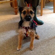 Testimonial from Morris