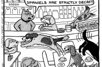 Dog cartoon to make you Smile!