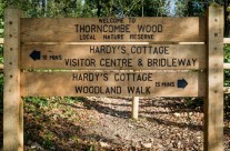 Dog walk for the weekend, Thorncombe Woods, Nr Dorchester, Dorset