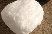 Dog owners warned as palm oil washes up on Lepe Beach, New Forest