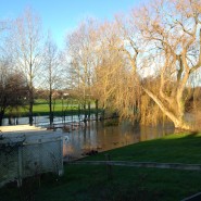 Flooding along the River Allen, Wimborne on our dog walk yesterday!