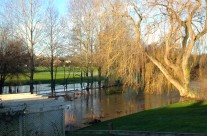Flooding along the River Allen, Wimborne on our dog walk yesterday!