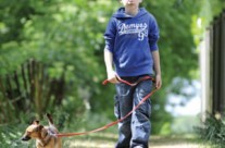 Thinking of getting a dog? – Battersea Q&A: Finding the right dog for you!