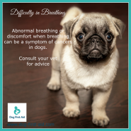 Dog Tip for today, difficulty in breathing! …