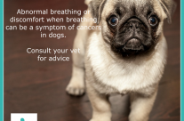 Dog Tip for today, difficulty in breathing! …