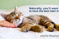 Yesterday was Cat World Spay Day! …
