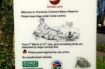 Dog walk today at Ferndown Common Nature Reserve, Nr Wimborne!