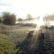 Early morning Dog Walk by the River Stour, Wimborne!