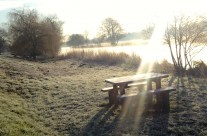 Early morning Dog Walk by the River Stour, Wimborne!