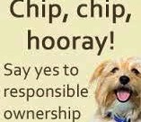 Margaret Green Animal Rescue. Free Micro Chipping For Dogs in Dorset! …
