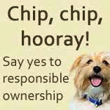 Margaret Green Animal Rescue. Free Micro Chipping For Dogs in Dorset! …