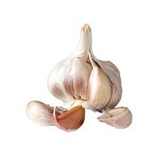 Is garlic safe or not, for your Dog? …