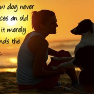 A new Dog never replaces an old Dog, it merely expands the Heart.