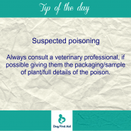 Dog Tip for Today. Suspected poisoning …