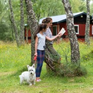 RSPCA (England & Wales) Hoseasons offer pet friendly holidays …