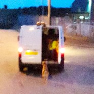 Exhausted dog dragged behind van as it is forced to do circuits of industrial estate