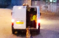 Exhausted dog dragged behind van as it is forced to do circuits of industrial estate