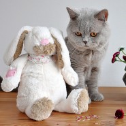 Wishing all my two and four legged friends at Four Paws Dorset a very enjoyable Easter!