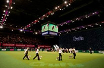 Crufts is one of the largest dog events in the world. Scroll down to see what’s on at Cruft this weekend …