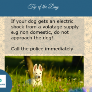 Dog Tip for Today! If your dog gets an electric shock from a voltage supply …