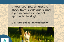 Dog Tip for Today! If your dog gets an electric shock from a voltage supply …