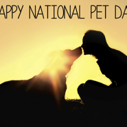 Love this picture even thought ‘Happy National Pet Day’ was yesterday!