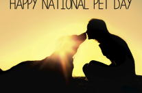 Love this picture even thought ‘Happy National Pet Day’ was yesterday!