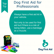 Dog tip for Today. Always have a First Aid Kit in your vehicle …