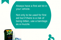 Dog tip for Today. Always have a First Aid Kit in your vehicle …