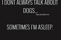 Things Dog Handlers say. I don’t always talk about dogs …