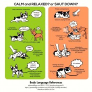 Dog Language Chart. Calm and Relaxed or Shut Down?