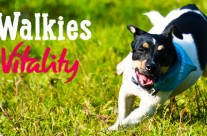 RSPCA Big Walkies Vitality! Kicking off in May to include Bournemouth …