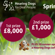 Hearing Dogs for Deaf people. Play their Spring Raffle …