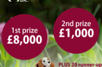 Hearing Dogs for Deaf people. Play their Spring Raffle …