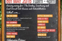 Animal Festival on the 8th May at Kingston Maurward Gardens and Animal Park …