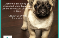 Dog Tip for Today. Difficulties in Breathing …