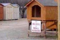 To make you Smile! For big Dog or small Husband!