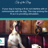 Dog tip for today. If your dog is having a fit …