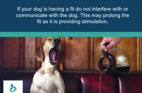 Dog tip for today. If your dog is having a fit …