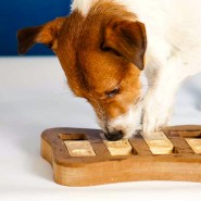 5 Steps To Greater Enrichment for your Dog …