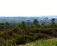 Suggested Dog Walk for the weekend. Canford Heath Nature Reserve, Poole …